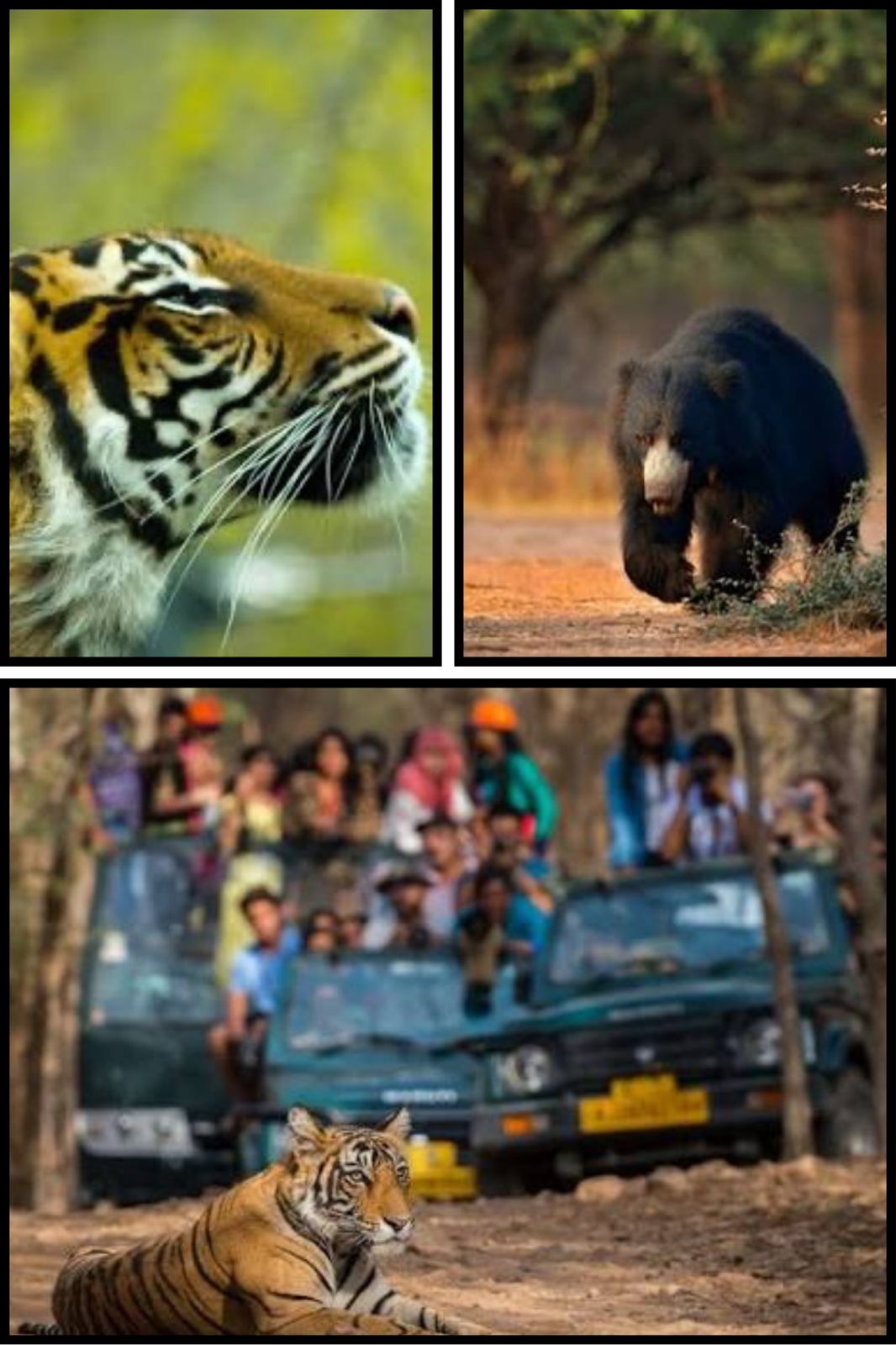 Conservation and  Community