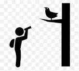 Bird Watching paradise